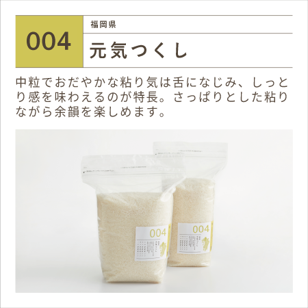 令和7年産 福岡県産 元気つくし